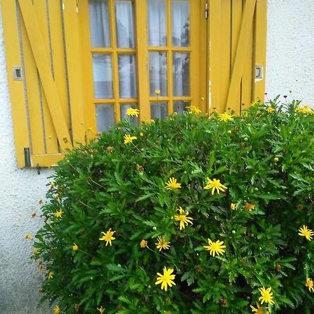 Apartamento Casa Amarela Esmoriz Exterior foto